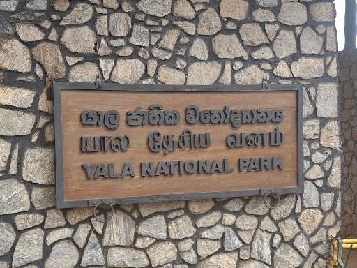 Yala National Park
